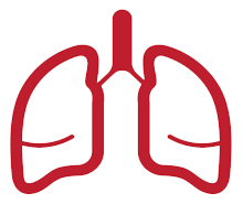 VR TierOne - Choroby płuc